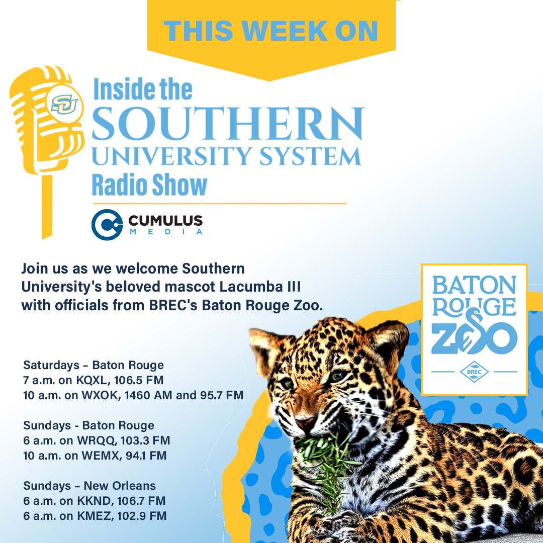 BR Zoo - Jaguar Exhibit